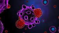 T cells attacking cancer cells
